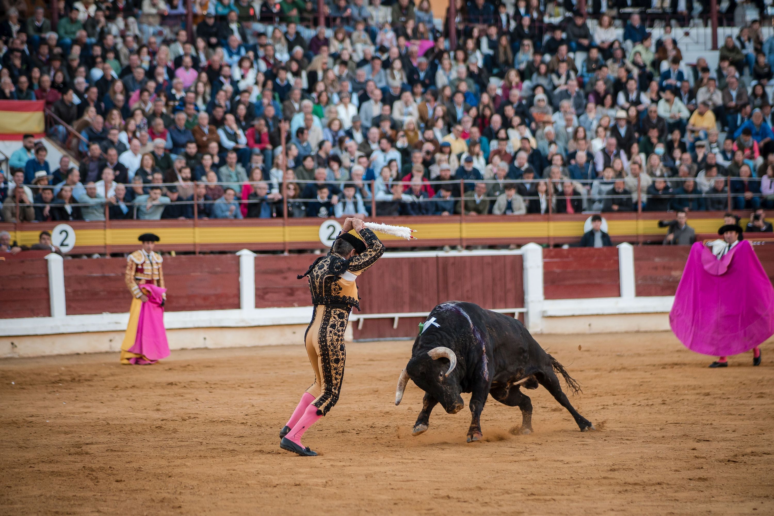 La corrida de primavera de Mérida, en imágenes (II)