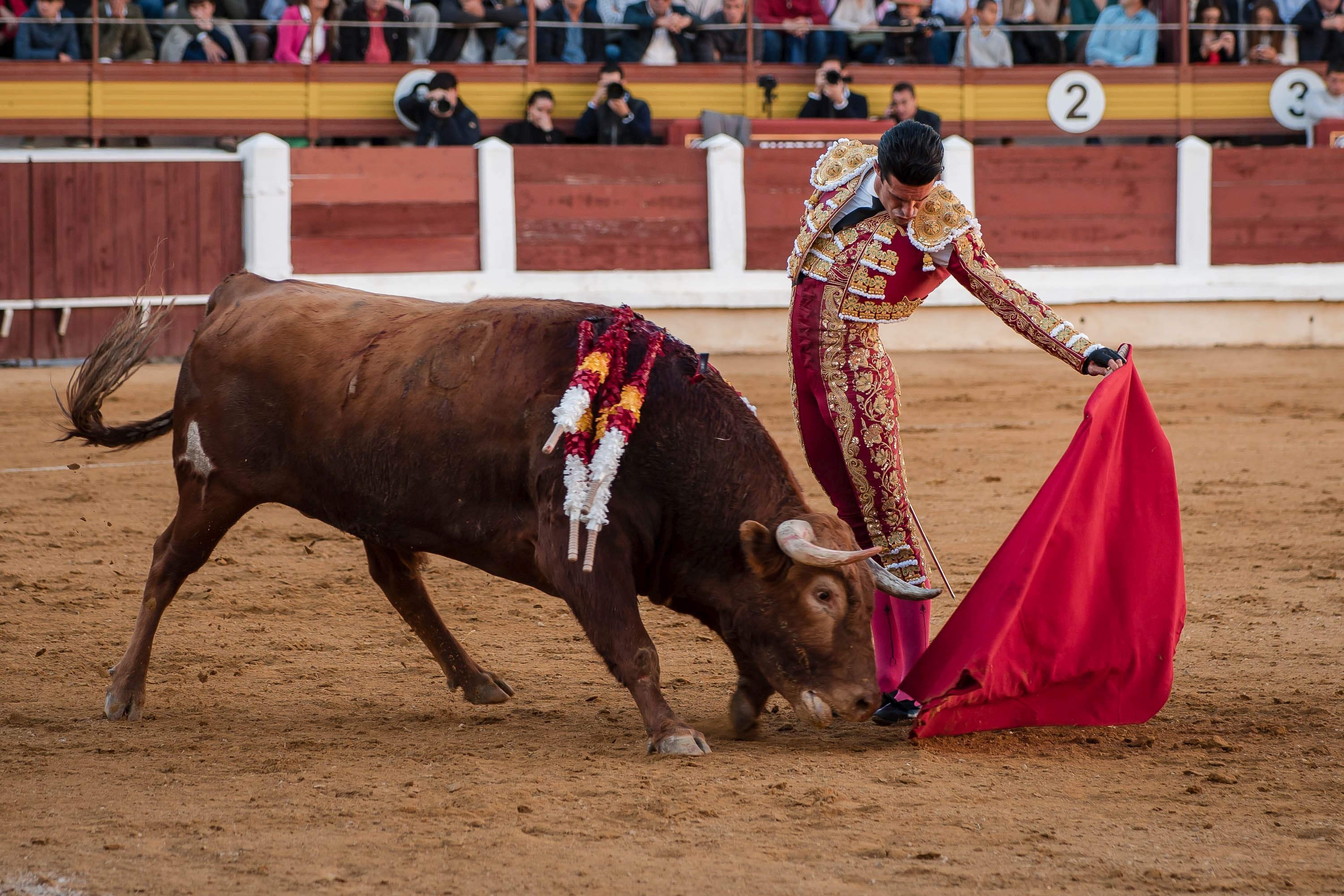 La corrida de primavera de Mérida, en imágenes (I)