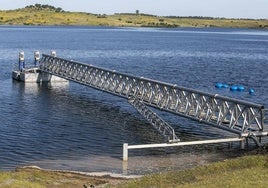 Tomate flotante de la presa de Alqueva que riega más de 500 hectáreas en Villanueva del Fresno.