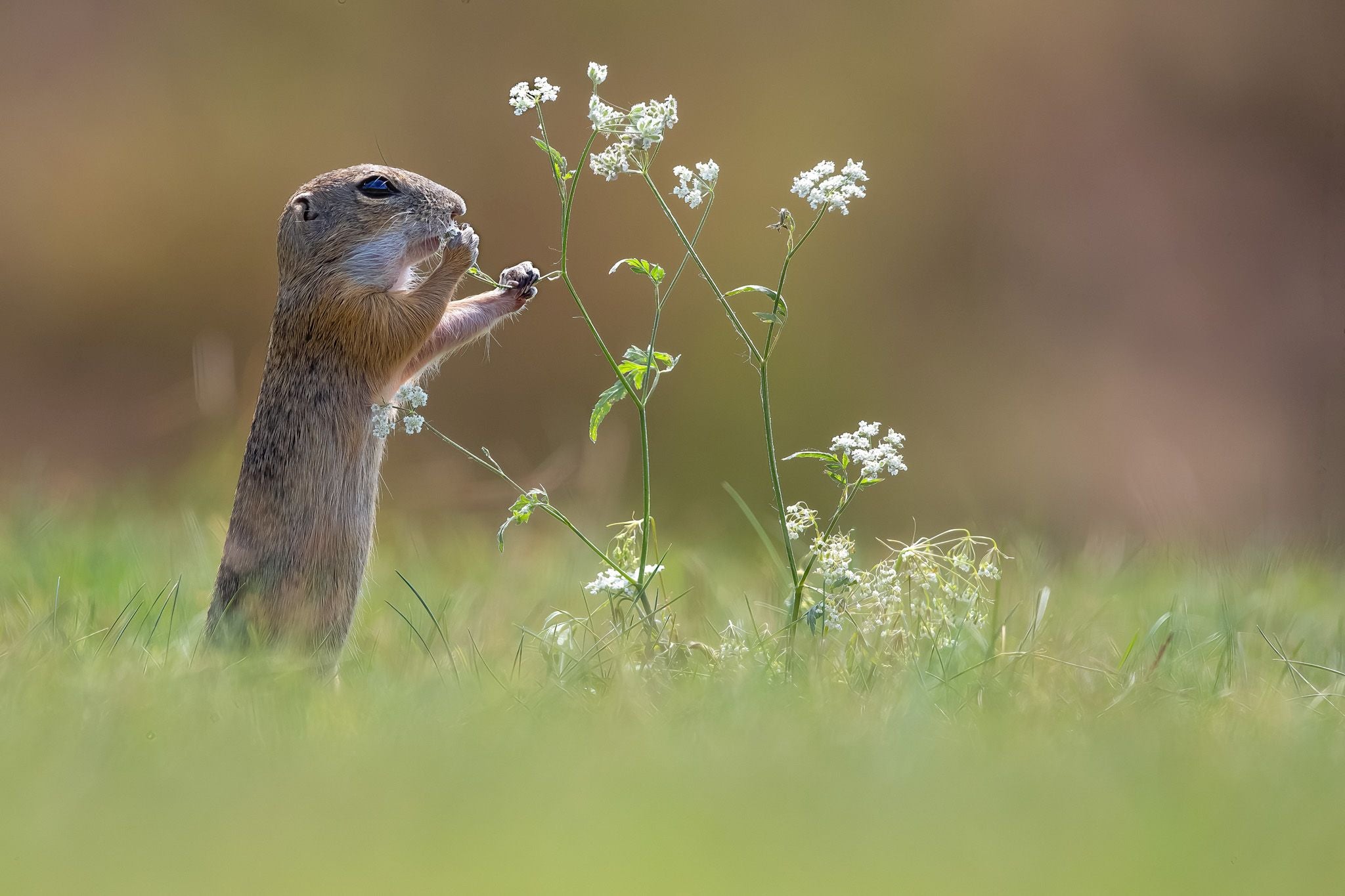 Algunas de las fotos de Merce Rodríguez por el mundo