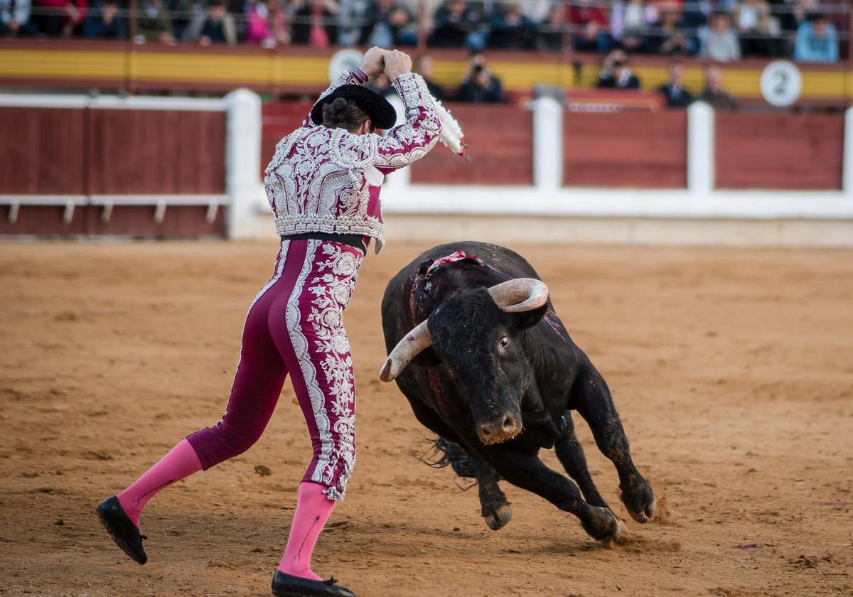 Toros y literatura