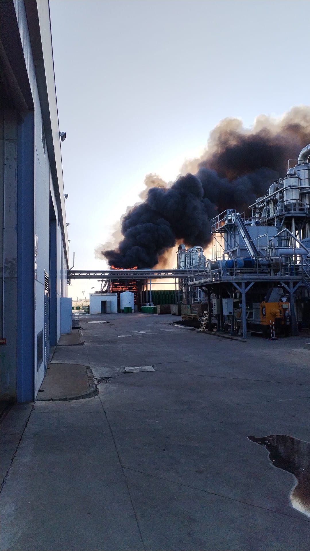 Imágenes del desarrollo del incendio en la fábrica de tomates Conesa de Miajadas