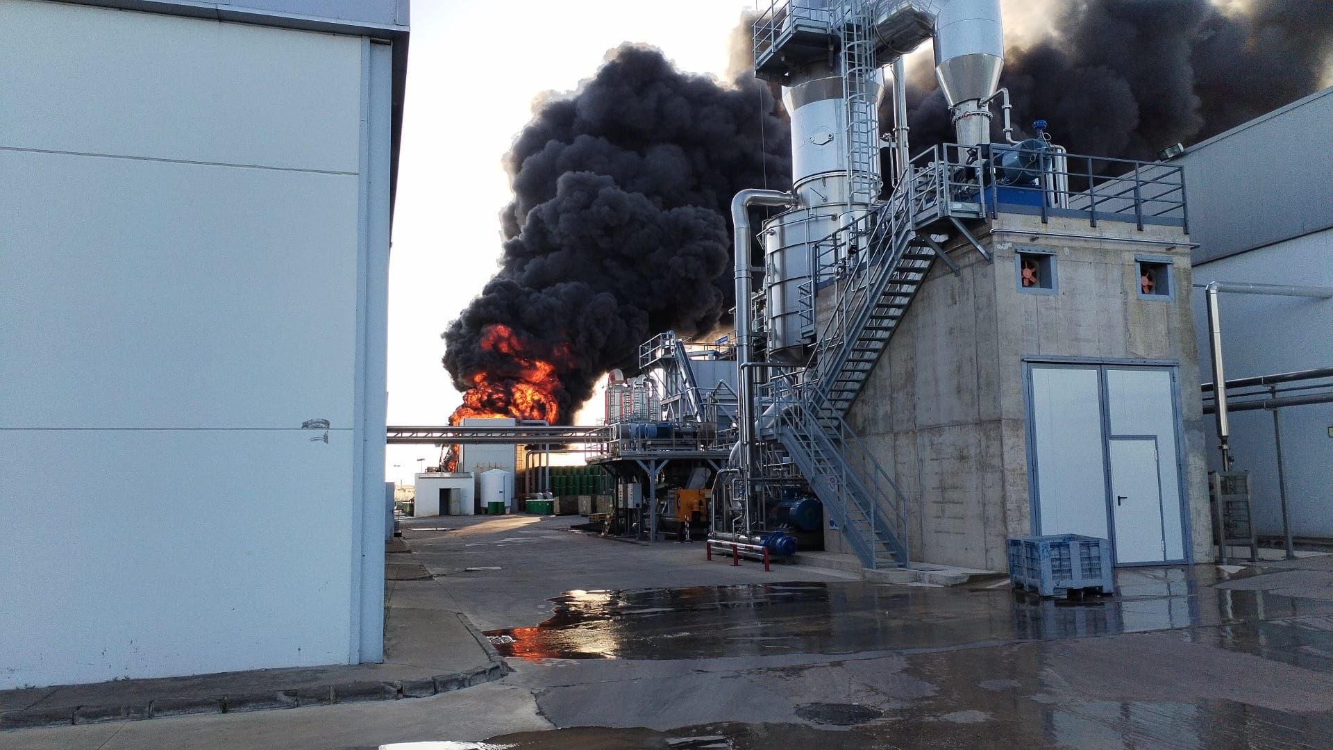 Imágenes del desarrollo del incendio en la fábrica de tomates Conesa de Miajadas