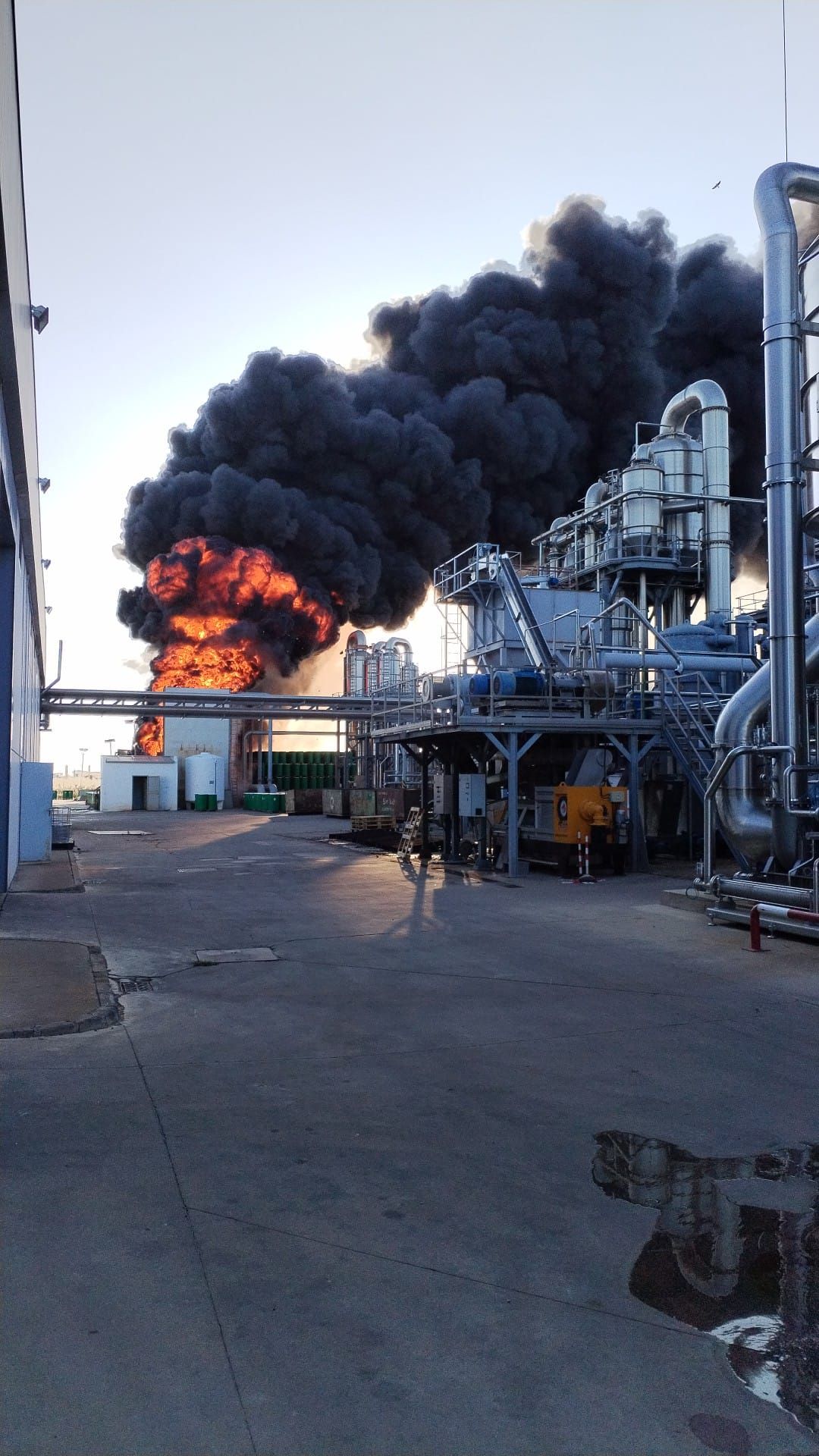 Imágenes del desarrollo del incendio en la fábrica de tomates Conesa de Miajadas