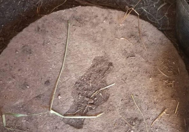 Rueda de molino que aún se conserva. llegó a haber 25 en la Ribera.