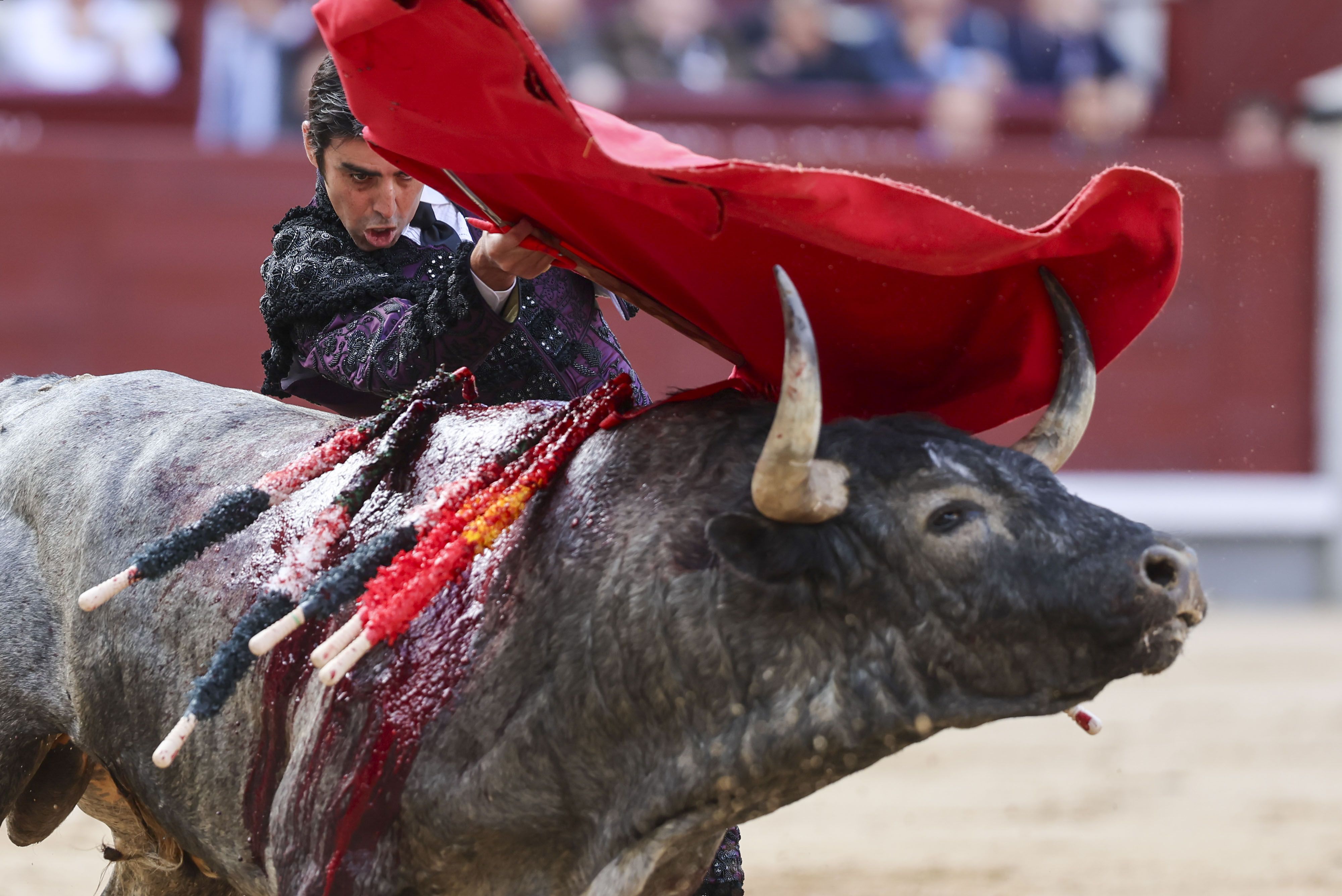 Cogida de Emilio de Justo en Las Ventas