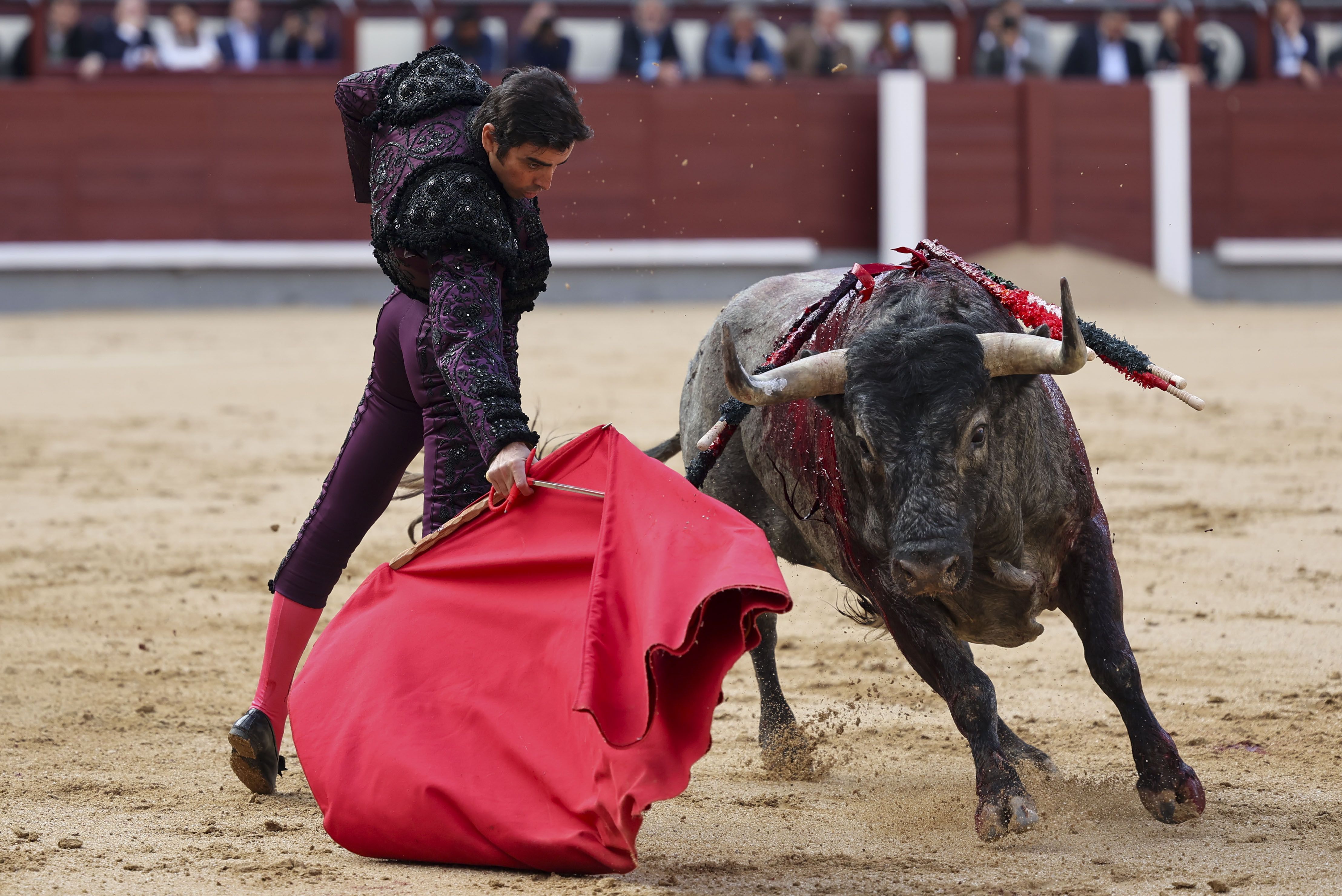 Cogida de Emilio de Justo en Las Ventas