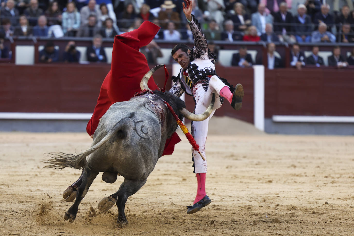 El segundo toro de Emilio de Justo embistió al diestro extremeño. 