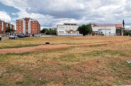 Algunos de los solares de Suerte de Saavedra ya han sido desbrozados.