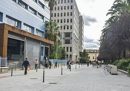 Lateral del paseo de San Francisco.
