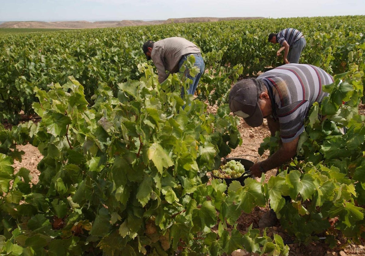 Salarios y temporalidad sitúan a Extremadura a la cola de España en calidad del empleo