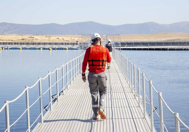 Juan José García, jefe de la planta, camina sobre el pantalán que conecta la orilla con el centro del embalse.