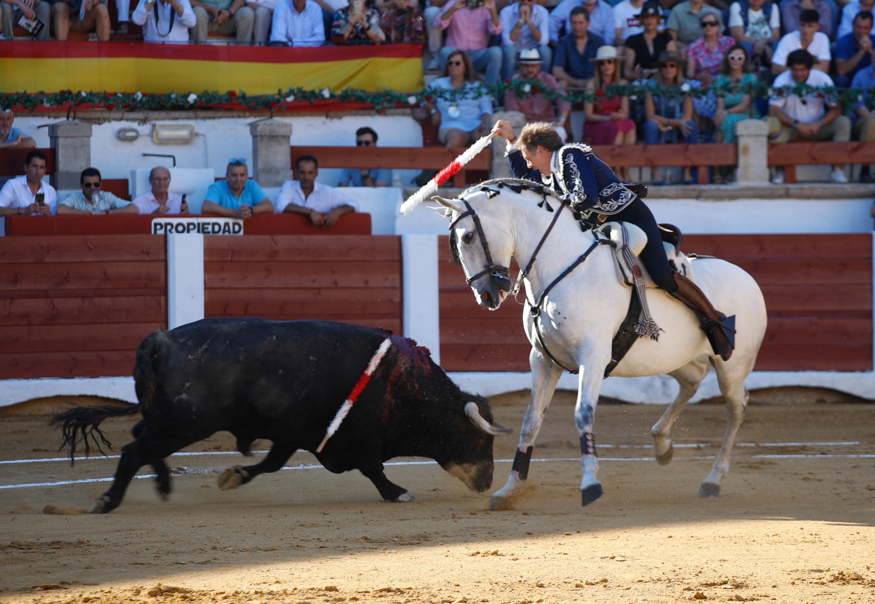 Fotos | Las mejores imágenes del regreso de los toros a Cáceres (I)