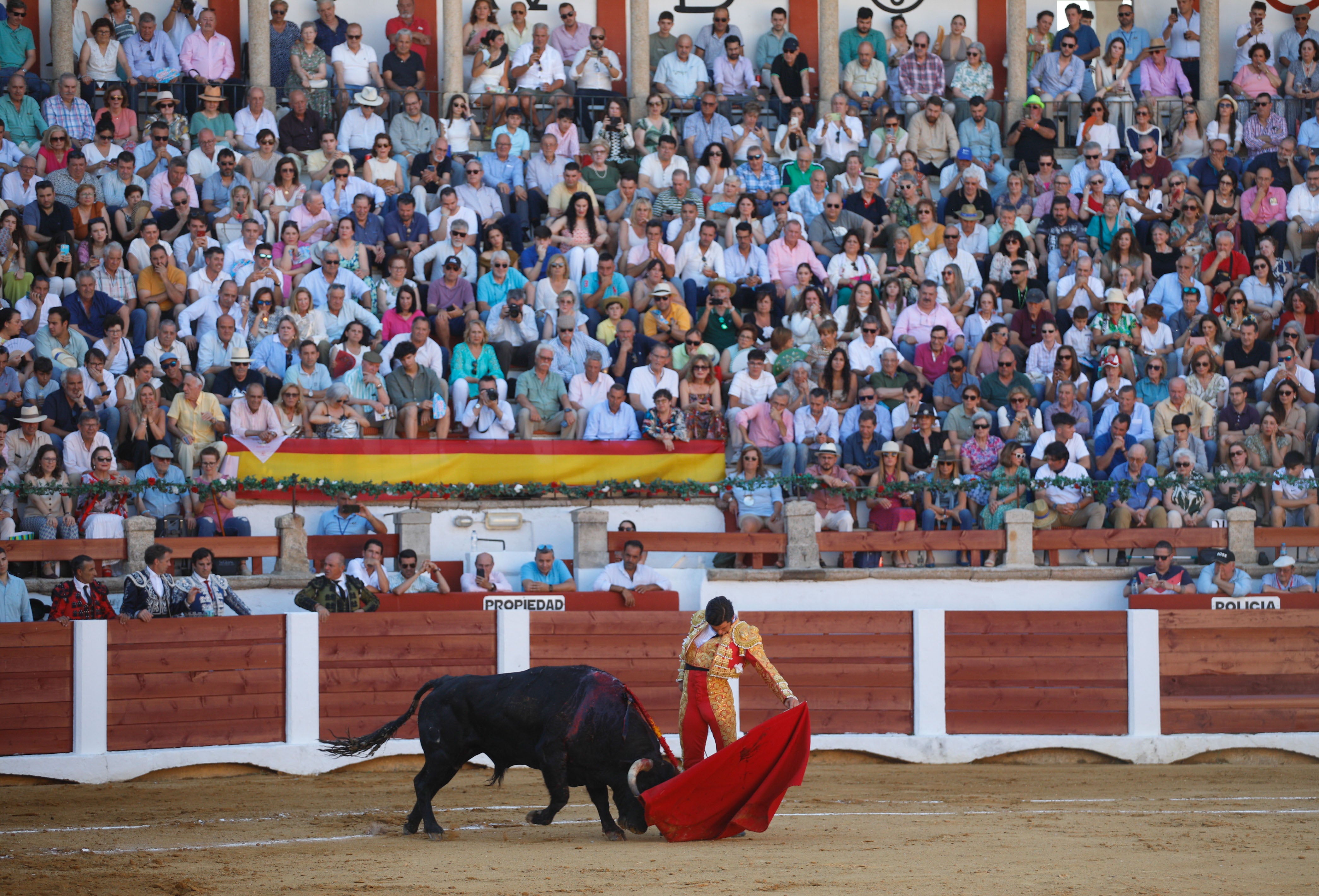 Fotos | Las mejores imágenes del regreso de los toros a Cáceres (I)