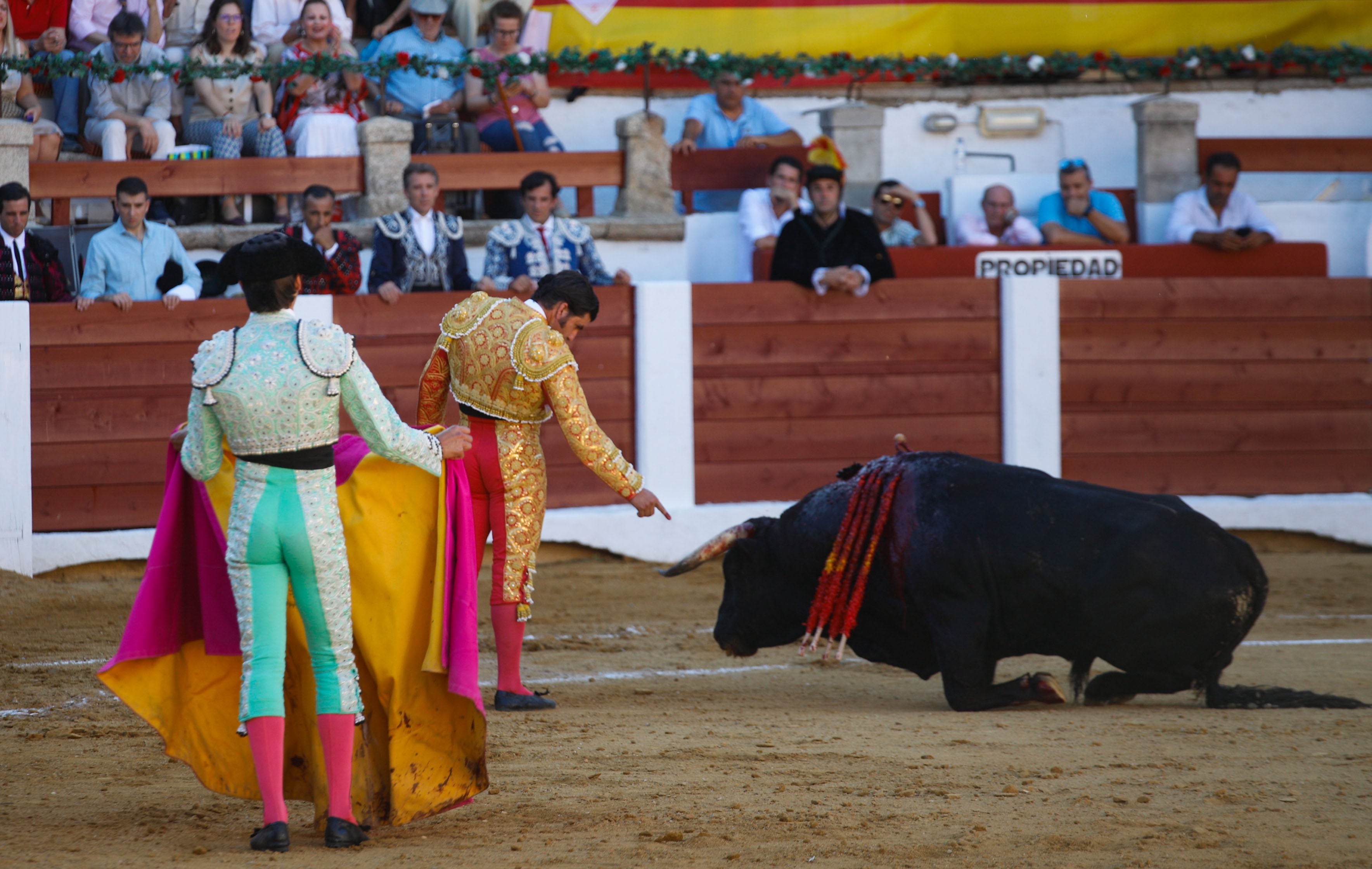 Fotos | Las mejores imágenes del regreso de los toros a Cáceres (I)