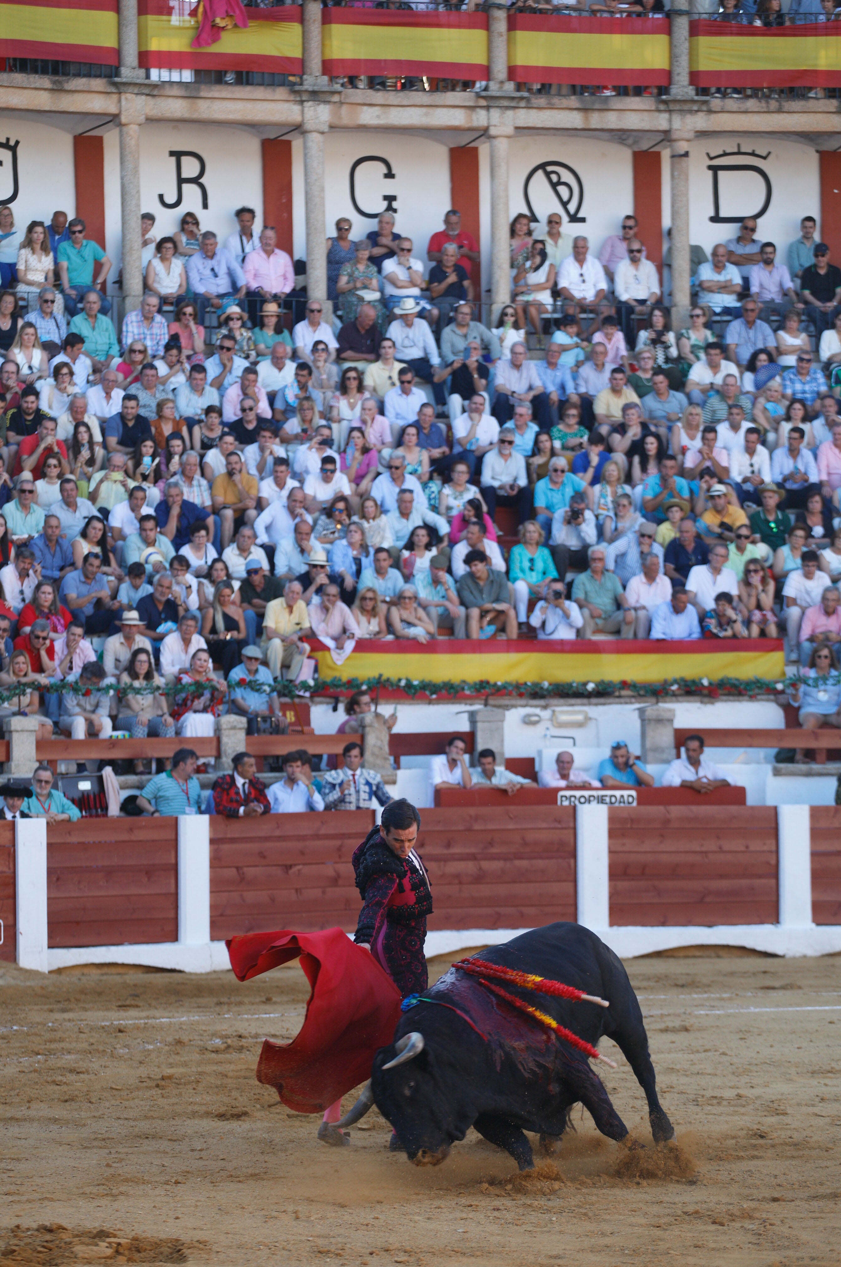 Fotos | Las mejores imágenes del regreso de los toros a Cáceres (I)