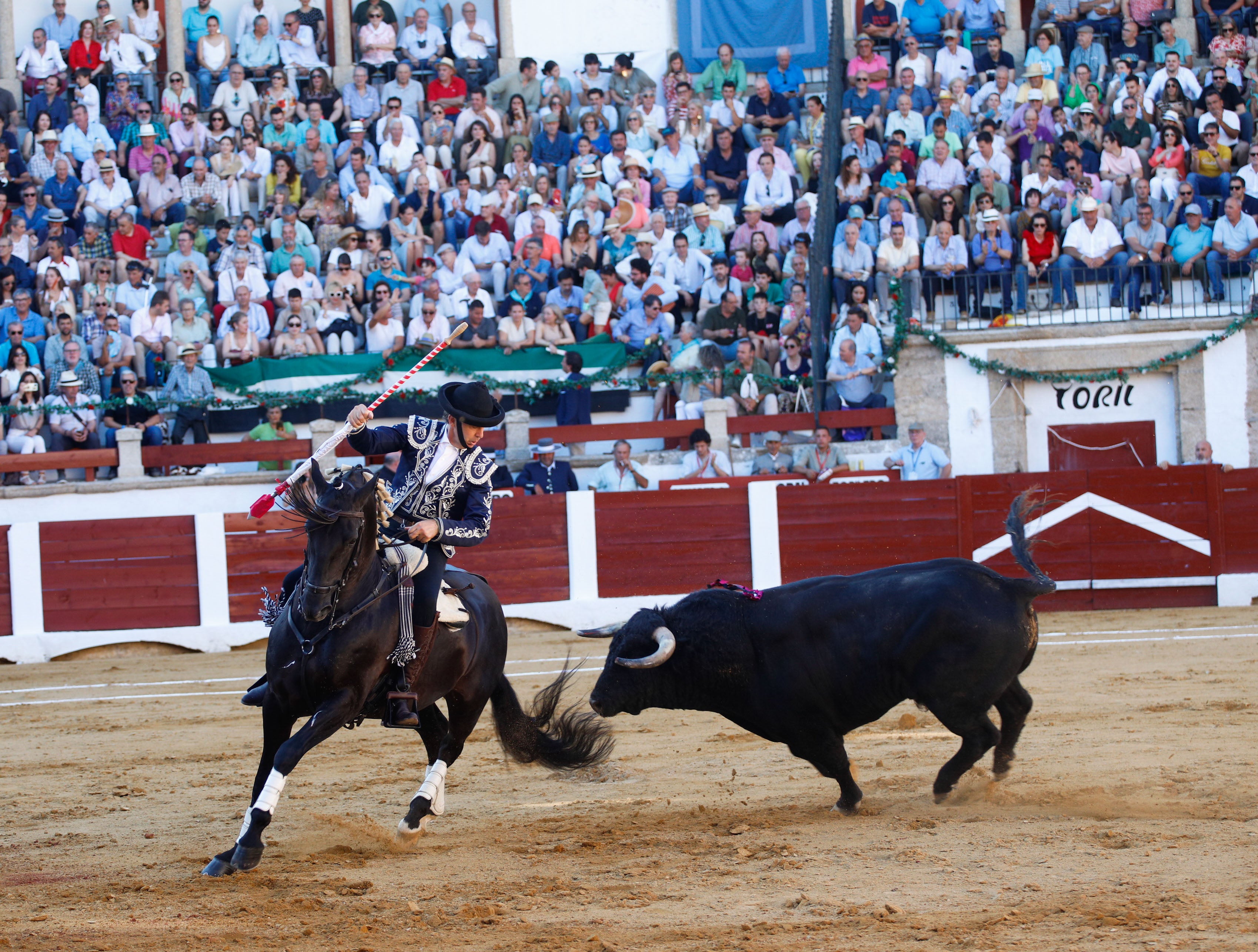 Fotos | Las mejores imágenes del regreso de los toros a Cáceres (II)