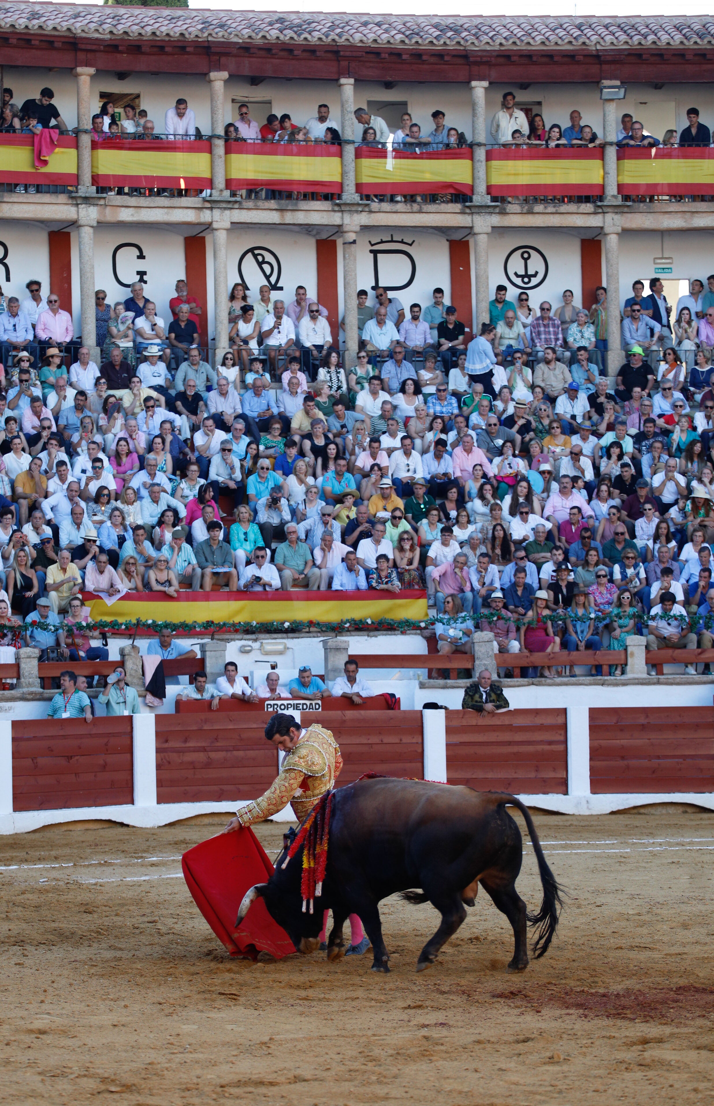 Fotos | Las mejores imágenes del regreso de los toros a Cáceres (II)