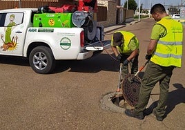 Tareas de fumigación el año pasado.