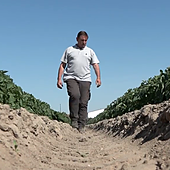 Agricultores extremeños lamentan que Marruecos lidere la exportación de tomates a la UE