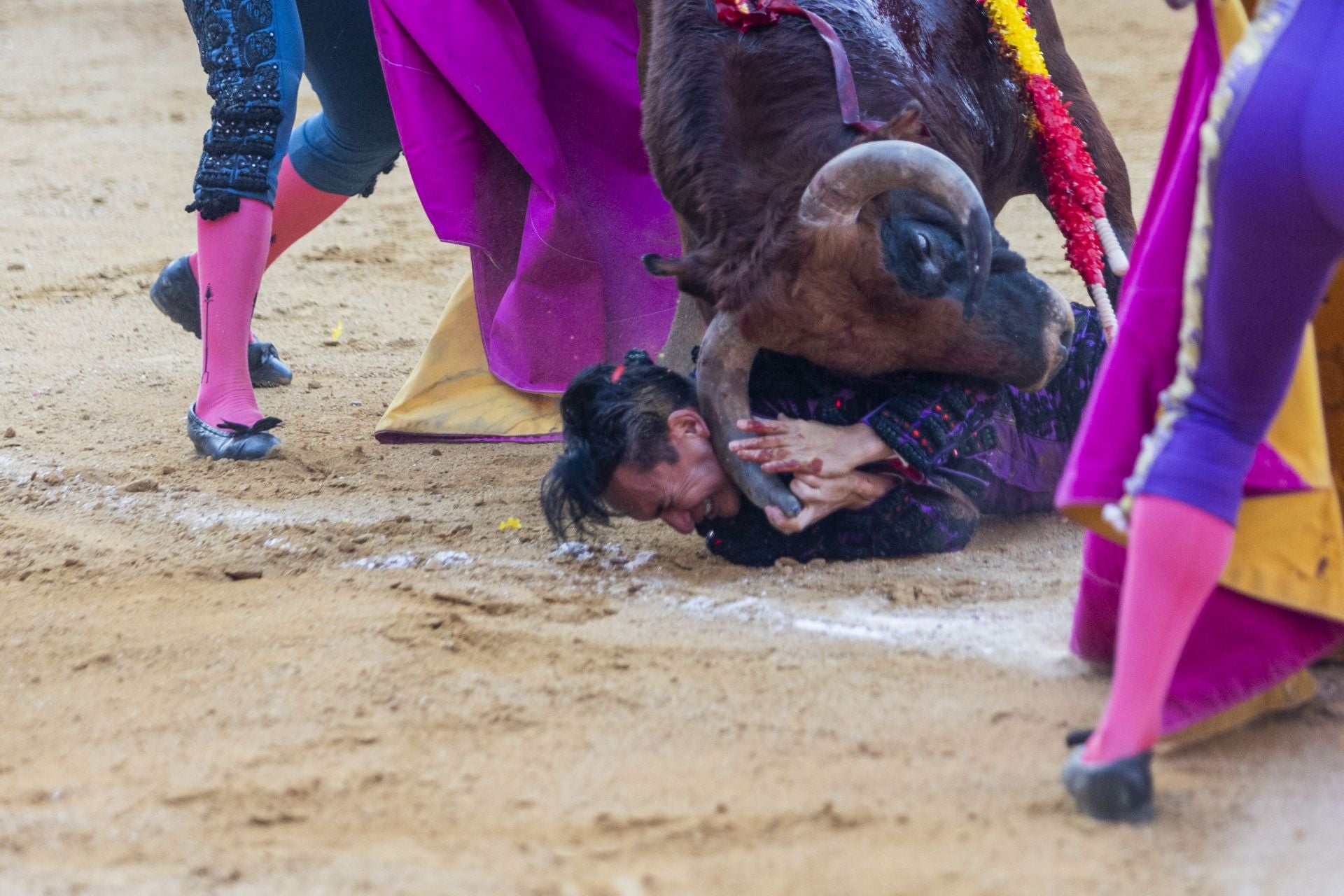 Fotos | Así fue la cogida al banderillero Álex Benavides en Cáceres