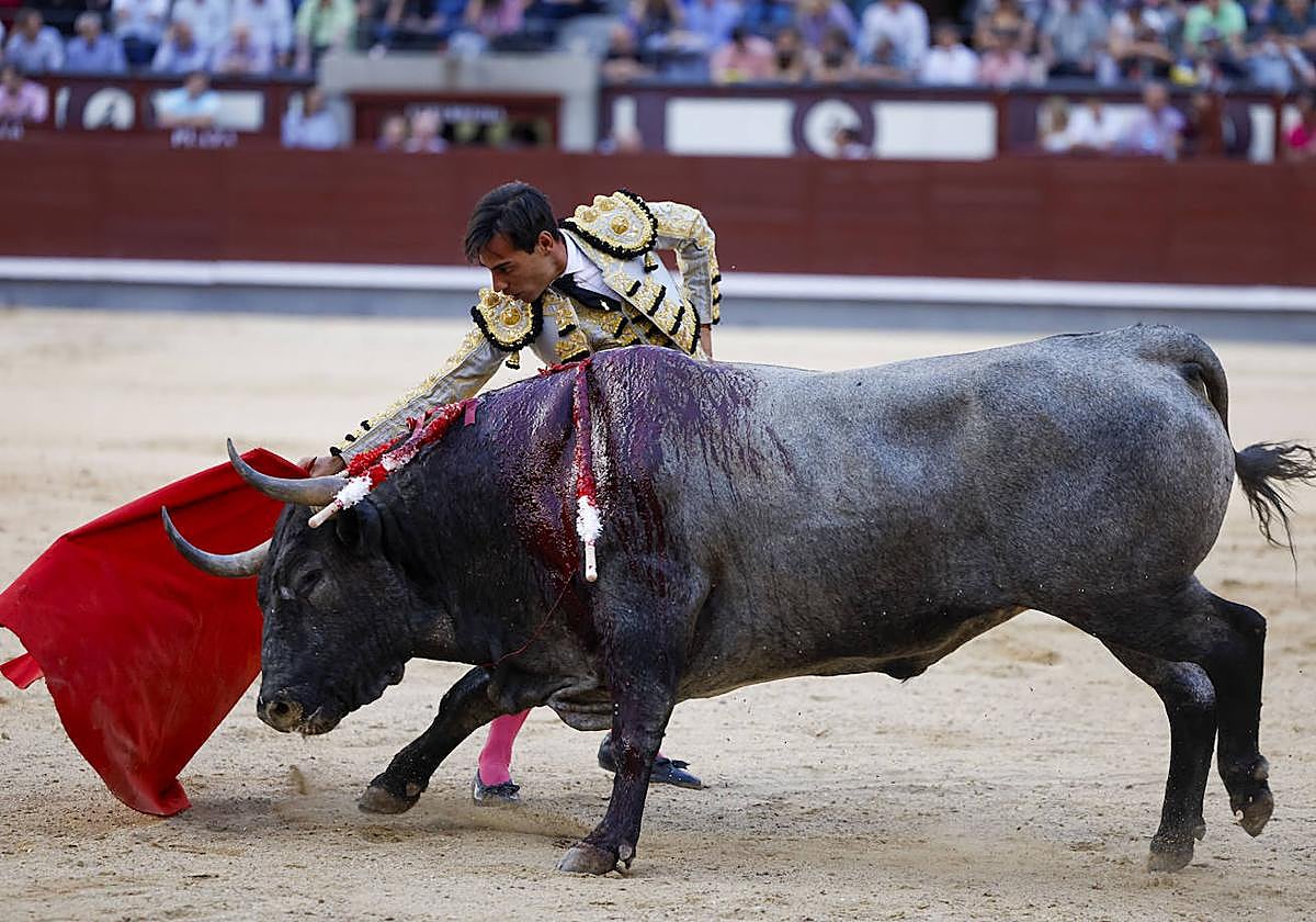 El torero Gómez del Pilar da un pase durante la corrida de toros de la Feria de San Isidro, con toros de la ganadería de José Escola.