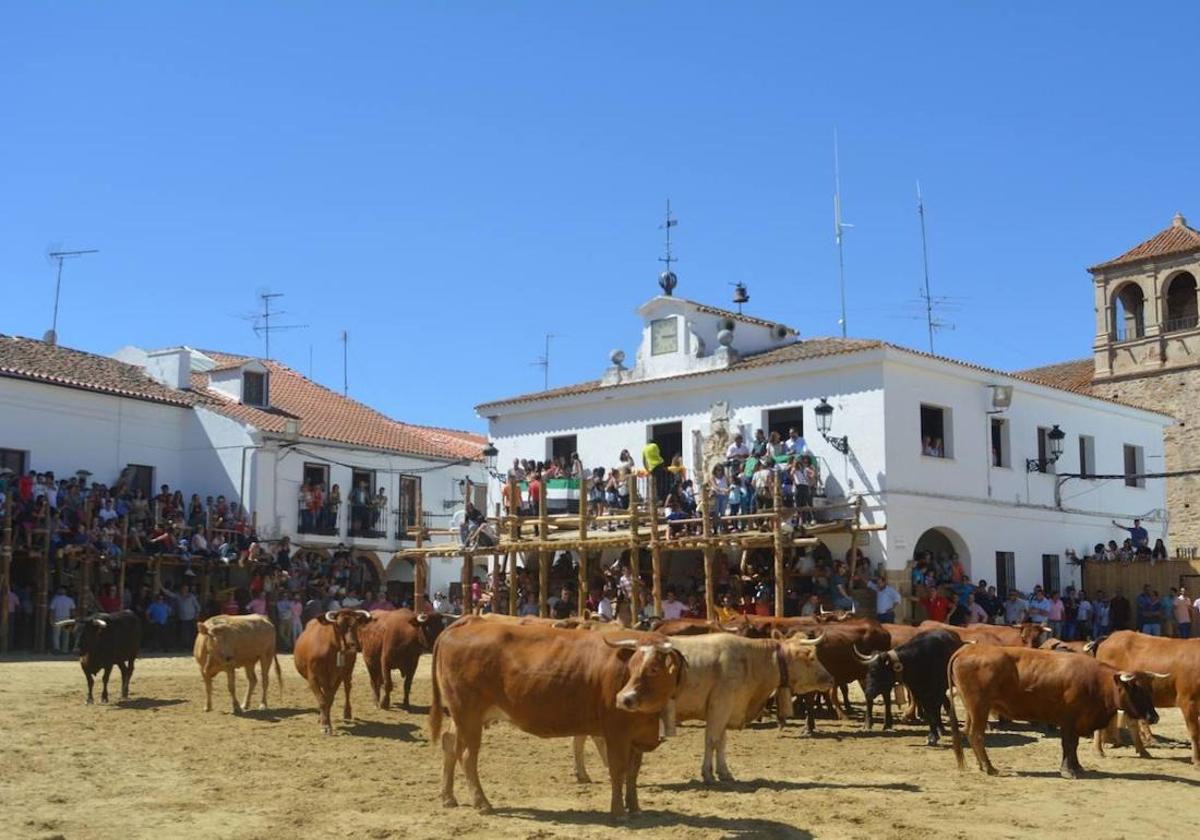 Capeas de Segura de León.