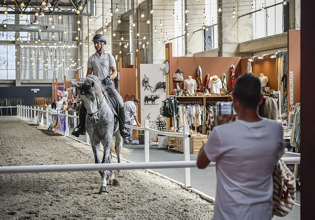 En Ifeba arranca Ecuextre.