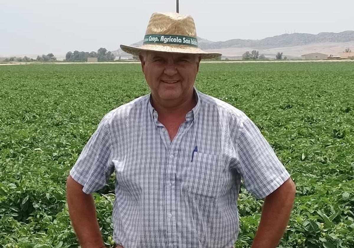 Juan Antonio Gutiérrez de Tena cultiva tomate, cebada, trigo y olivo.