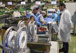 El ministro de Economía, el pacense Carlos Cuerpo, durante su visita este viernes a la fábrica Tany Nature, en Zurbarán.