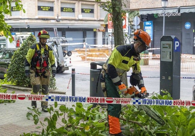 Intervención de los bomberos. El árbol está situado a la altura de la calle Rodríguez Moñino.