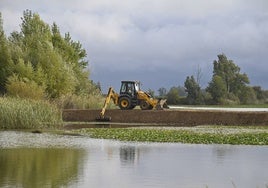 Obras en el azud de La Pesquera.