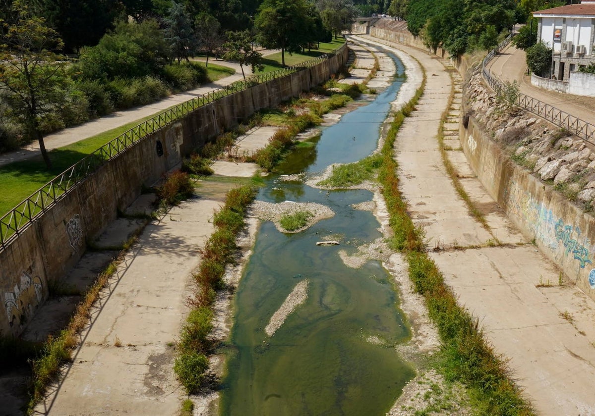 Suciedad en el arroyo Rivillas.