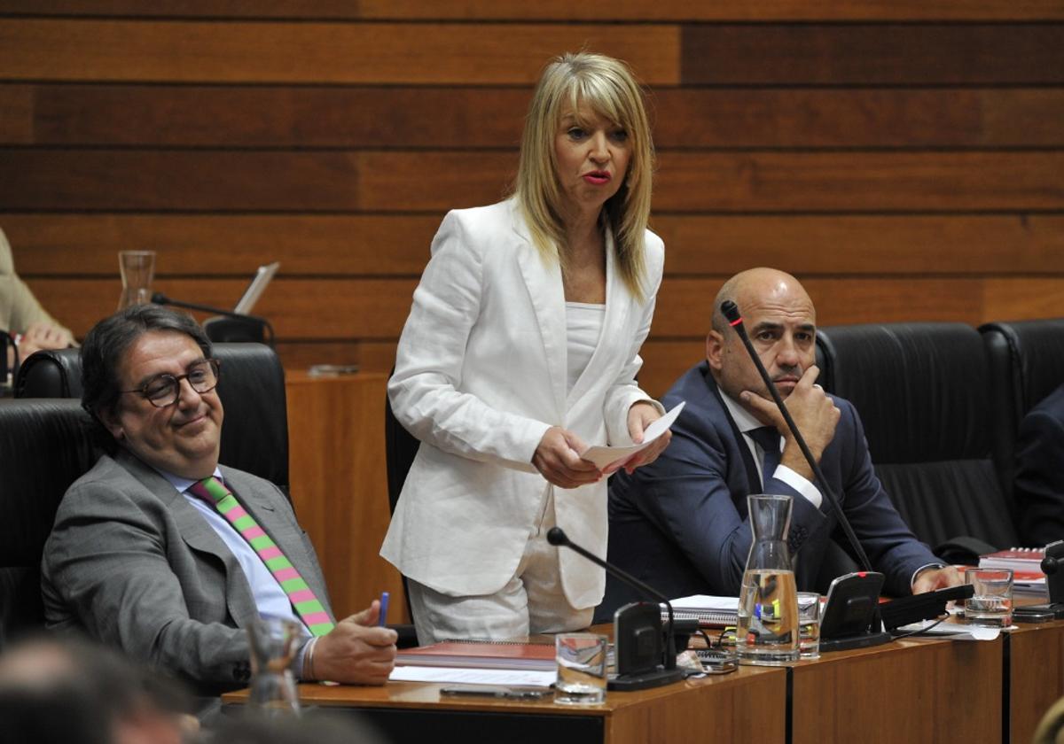 La socialista Piedad Álvarez, durante su intervención este jueves en el pleno de la Asamblea.