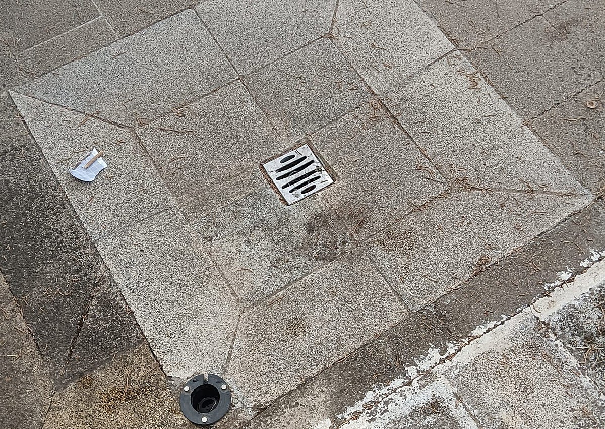 Imagen secundaria 1 - Arriba, deterioro del césped, seco o con calvas con la piscina al fondo. Debajo, plato de baño sin ducha. Sobre estas líneas, una caja de registro abierta en pleno suelo.