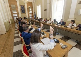 Momento en el que los concejales de Vox (primeros por la izquierda) votan a favor junto a los ediles del PP del plan de inversiones y la deuda cero.