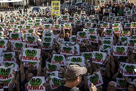 Imágenes de la manifestación contra la mina a las puertas del Ayuntamiento de Cáceres