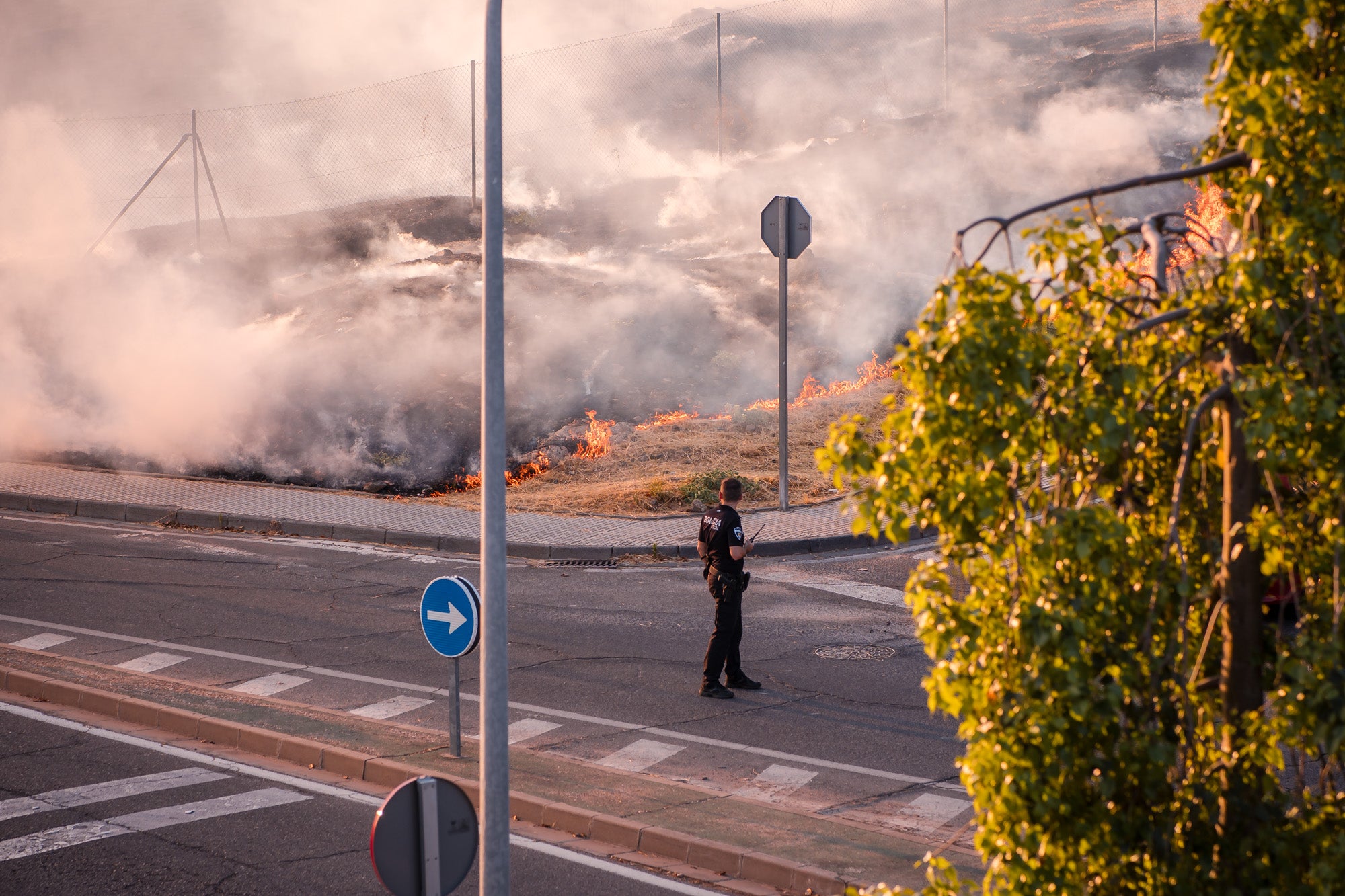 Así ha sido el llamativo incendio de pastos en Mérida