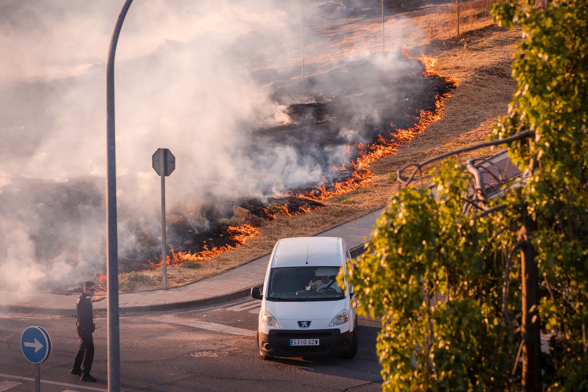 Así ha sido el llamativo incendio de pastos en Mérida