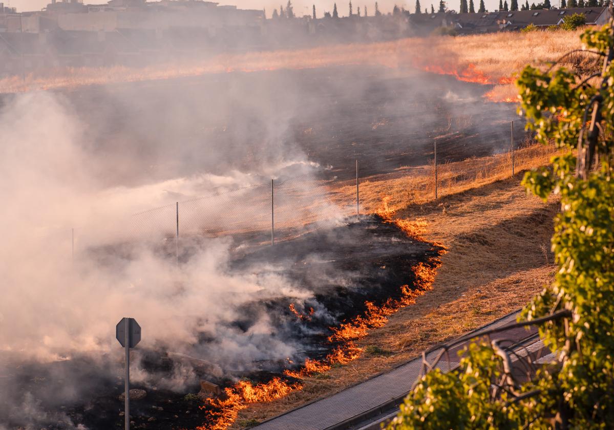 Así ha sido el llamativo incendio de pastos en Mérida