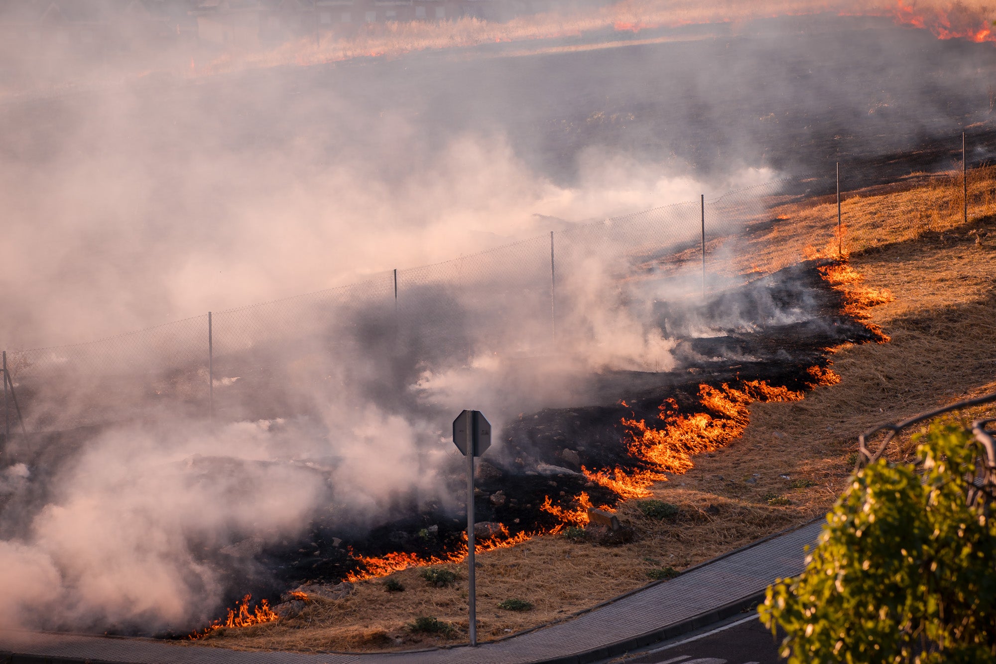 Así ha sido el llamativo incendio de pastos en Mérida