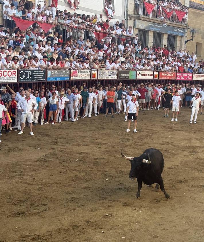 Imagen secundaria 2 - Brezo, con su impresionante cornamenta, cumple con las expectativas