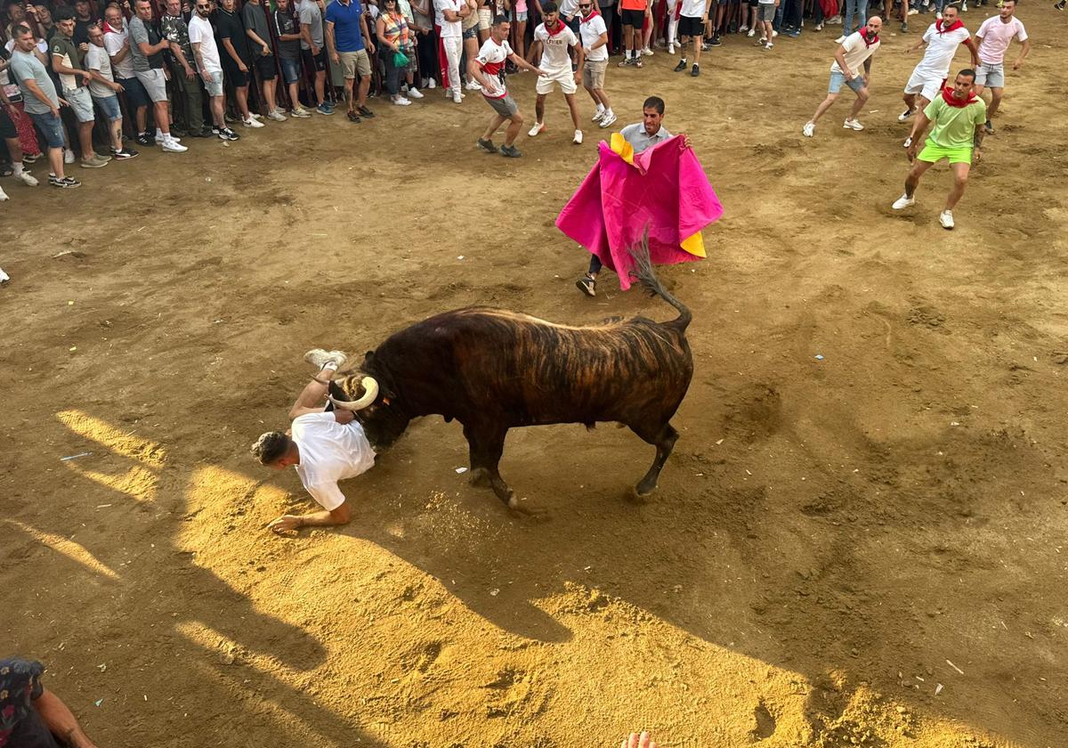 Embestida del toro «Ayende».