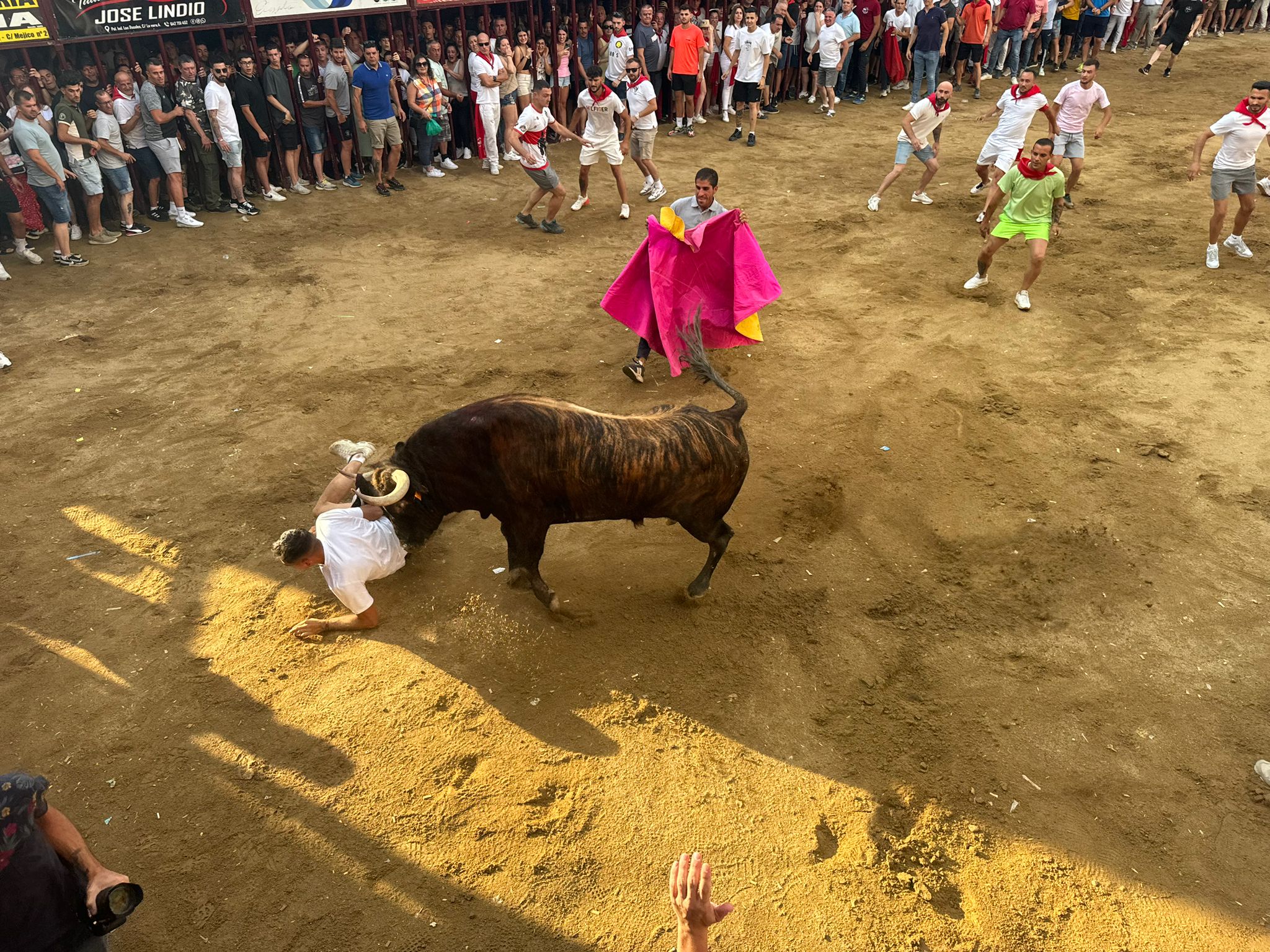 Así ha sido el espeluznante revolcón de un toro a un corredor en Coria