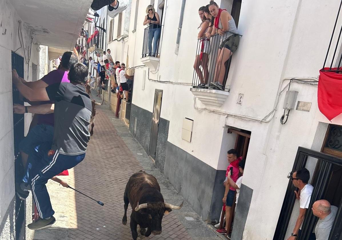 'Ayende' durante su recorrido por la calle de los Paños.