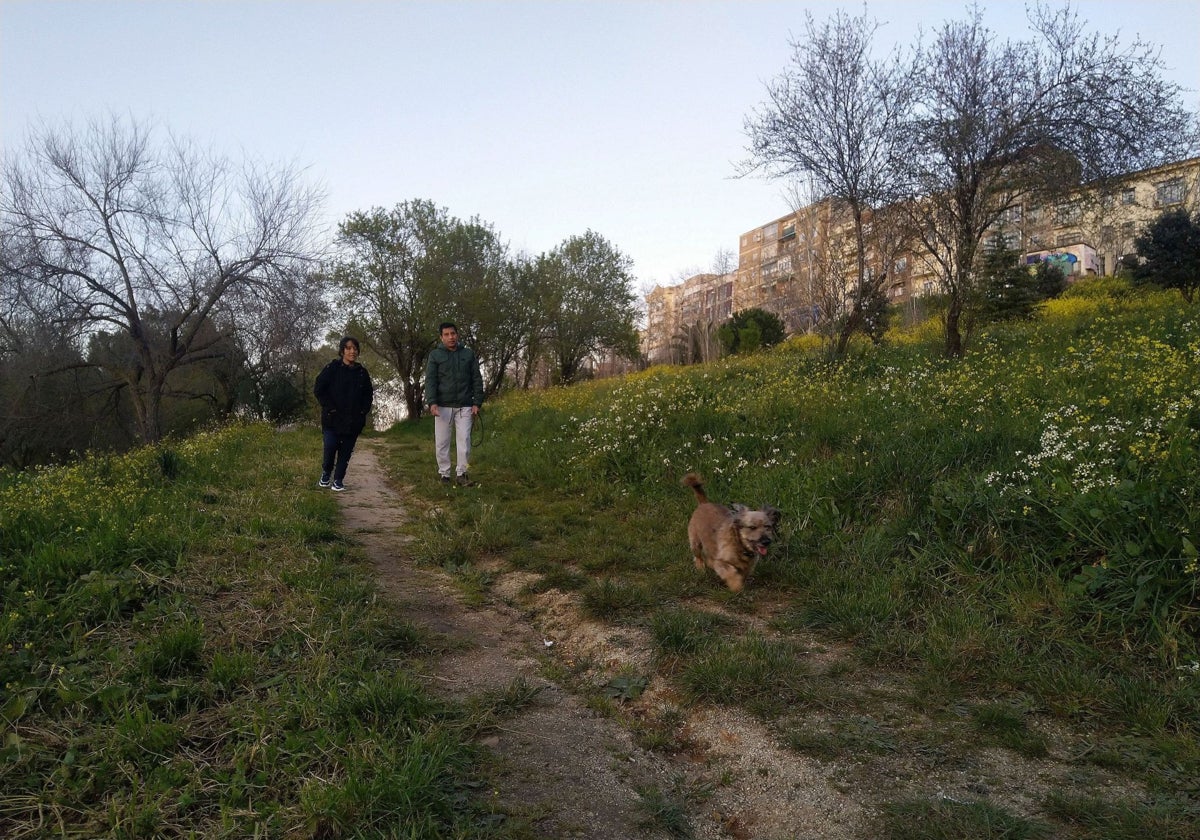 Zona del parque del Príncipe donde está proyectada la ampliación del parking.