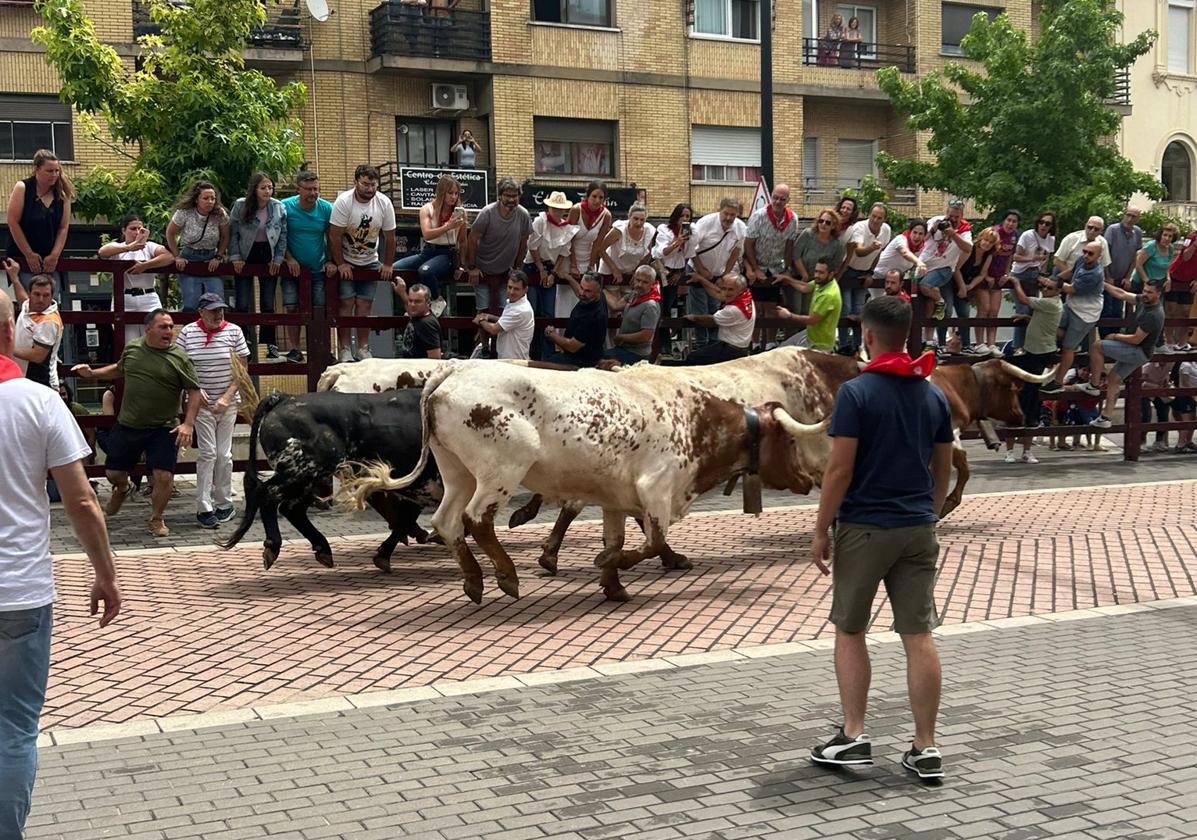 Encierro de 'Malcara'