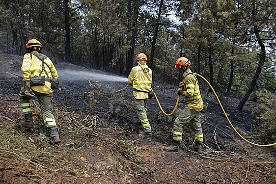 Bomberos forestales del Infoex trabajando en un incendio