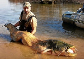 Un pescador posa con un siluro recién capturado.