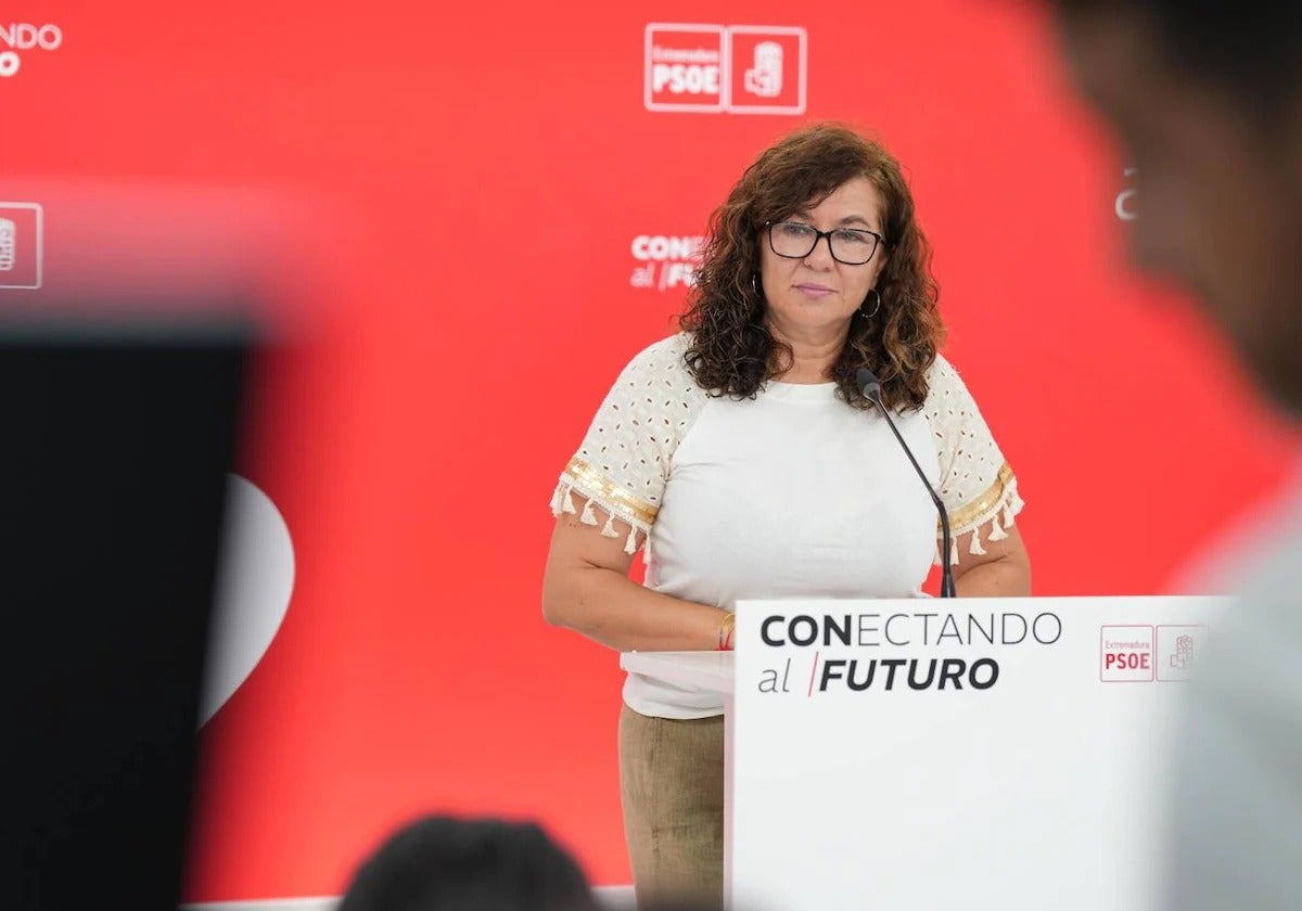 El PSOE reprocha a Guardiola que «descalificara» la gifafactoría como una «maquetita»